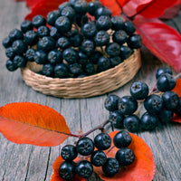 svartaronia 'Hugin' E